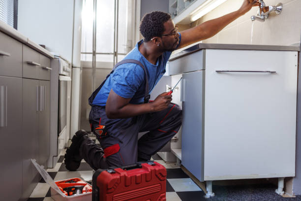 Best Plumbing Inspection Services  in Skidaway Island, GA